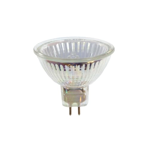 50W MR16 Halogen Bulb, Covered Clear